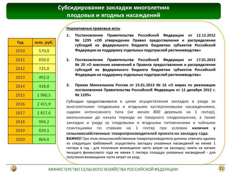 Проект по закладке многолетних насаждений